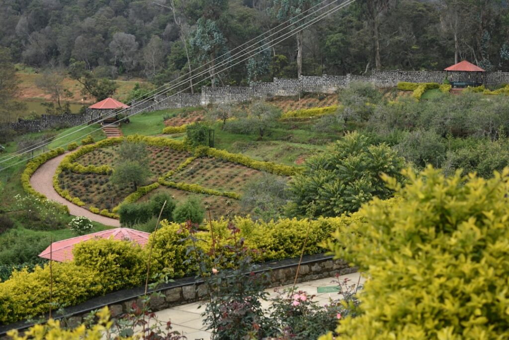Bauerngarten pflanzen: so entsteht ein lebendiges Gartenparadies