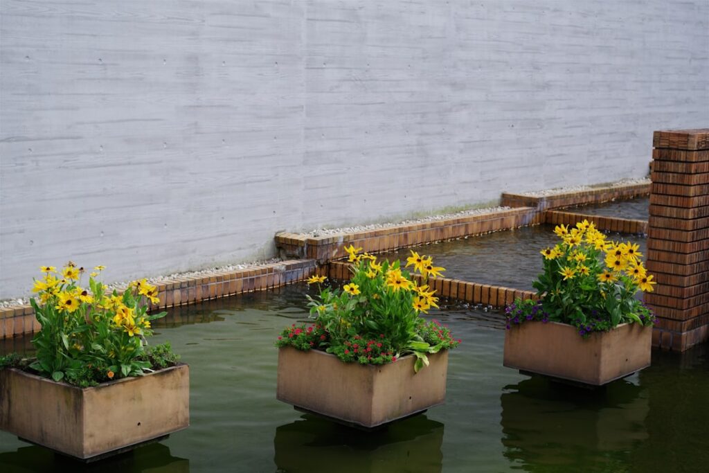 Wie Drainage Pflanzen gesunde Wurzeln und glückliche Gärtner schaffen