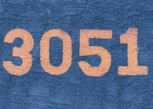 Was steckt hinter der Telefonnummer +31 85 888 72 50?