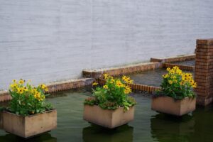 Wie Drainage Pflanzen gesunde Wurzeln und glückliche Gärtner schaffen