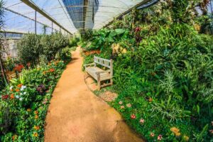 Naturnahe Oase erschaffen: Dein Weg zum ökologischen Gartenparadies